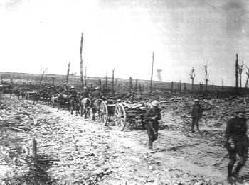 Delville Wood, Sept 1916