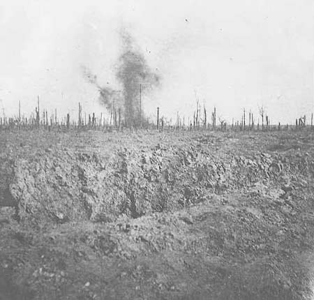 Delville Wood 1916