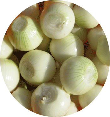 Onions