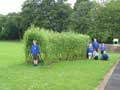 Kennethmont Primary School, Willow Tunnel