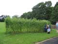 Kennethmont Primary School, Willow Tunnel