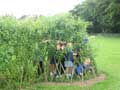 Kennethmont Primary School, Willow Tunnel