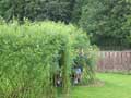 Kennethmont Primary School, Willow Tunnel